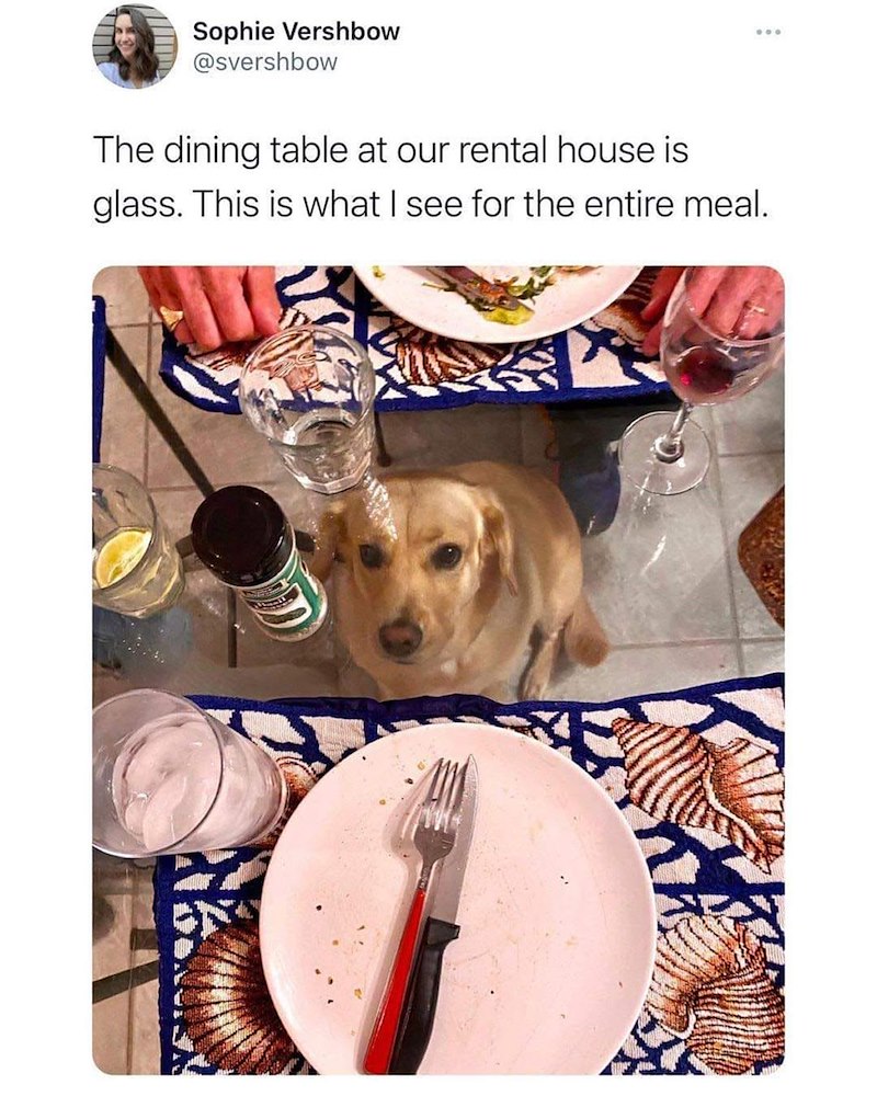 Sophie Vershbow @svershbow The dining table at our rental house is glass. This is what I see for the entire meal.