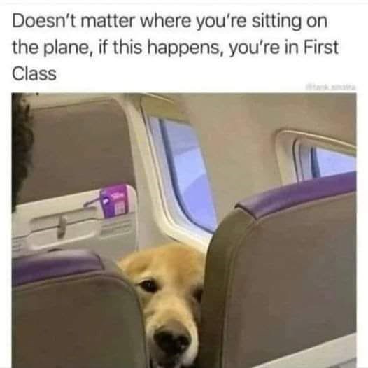 Doesn't matter where you're sitting on the plane, if this happens, you're in First Class
