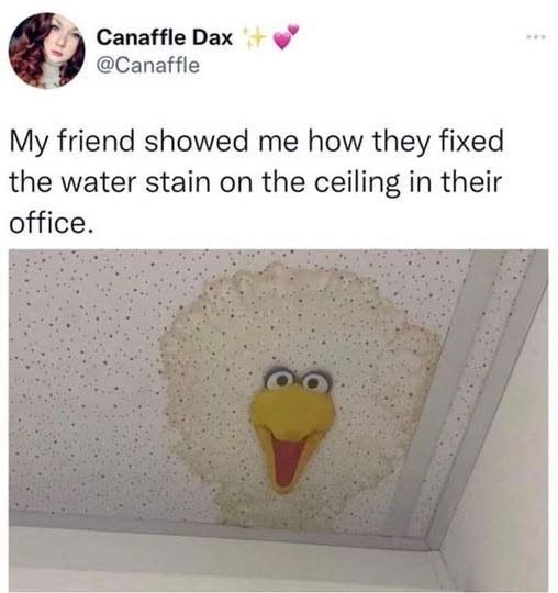 Canaffle Dax + @Canaffle My friend showed me how they fixed the water stain on the ceiling in their office. www