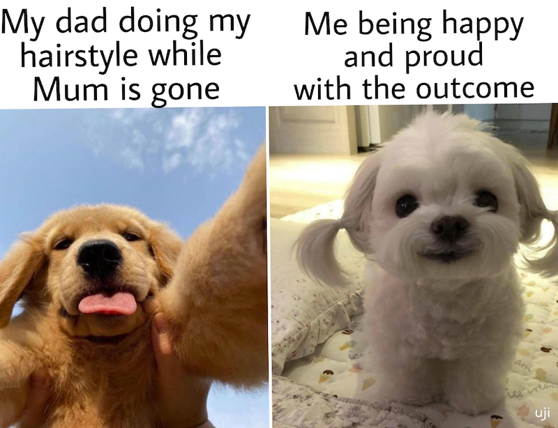 My dad doing my hairstyle while Mum is gone Me being happy and proud with the outcome rea uji