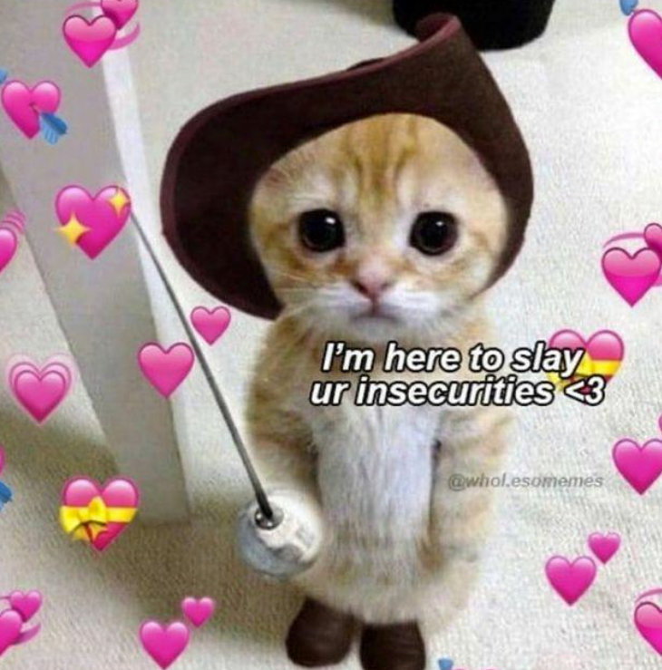 I'm here to slay ur insecurities <3 @whol.esomemes