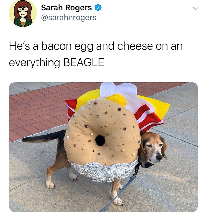 Sarah Rogers ✔ @sarahnrogers He's a bacon egg and cheese on an everything BEAGLE