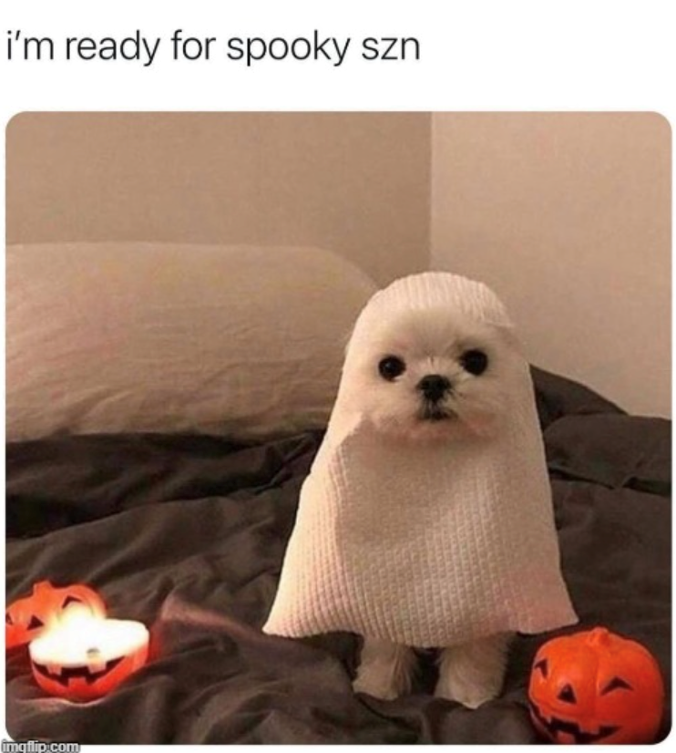 i'm ready for spooky szn imqflip.com