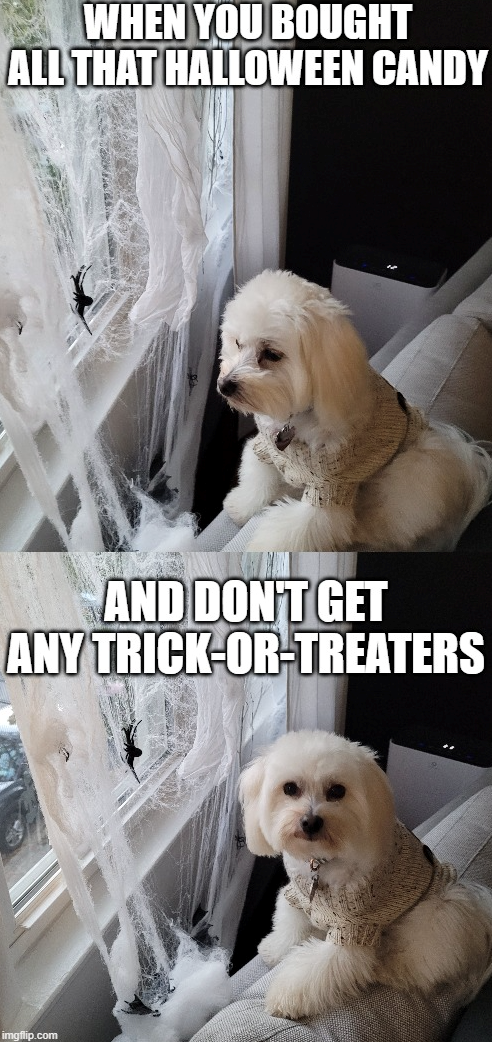 WHEN YOU BOUGHT ALL THAT HALLOWEEN CANDY AND DON'T GET ANY TRICK-OR-TREATERS imgflip.com