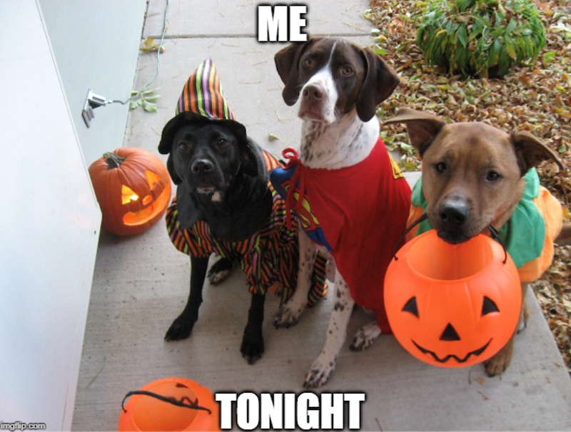 ME imgflip.com TONIGHT