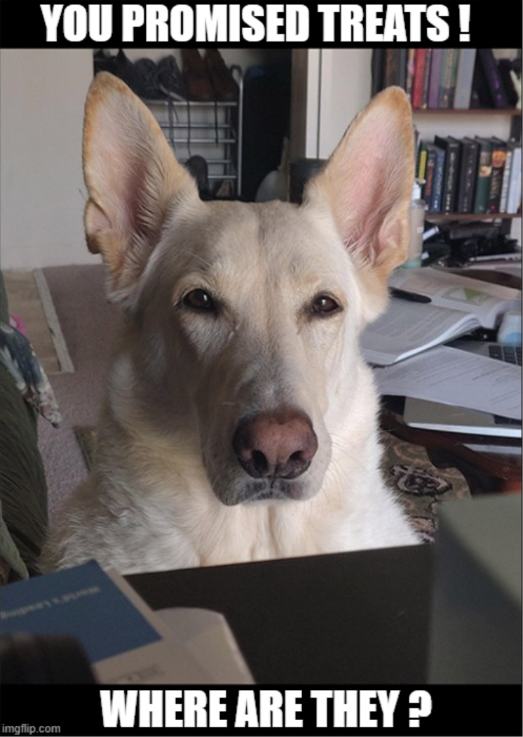 YOU PROMISED TREATS! WHERE ARE THEY? imgflip.com