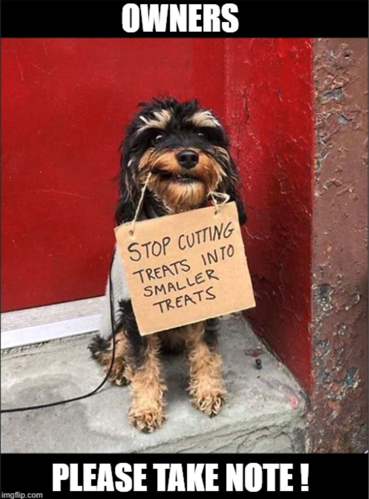 OWNERS STOP CUTTING TREATS INTO SMALLER TREATS PLEASE TAKE NOTE! imgflip.com