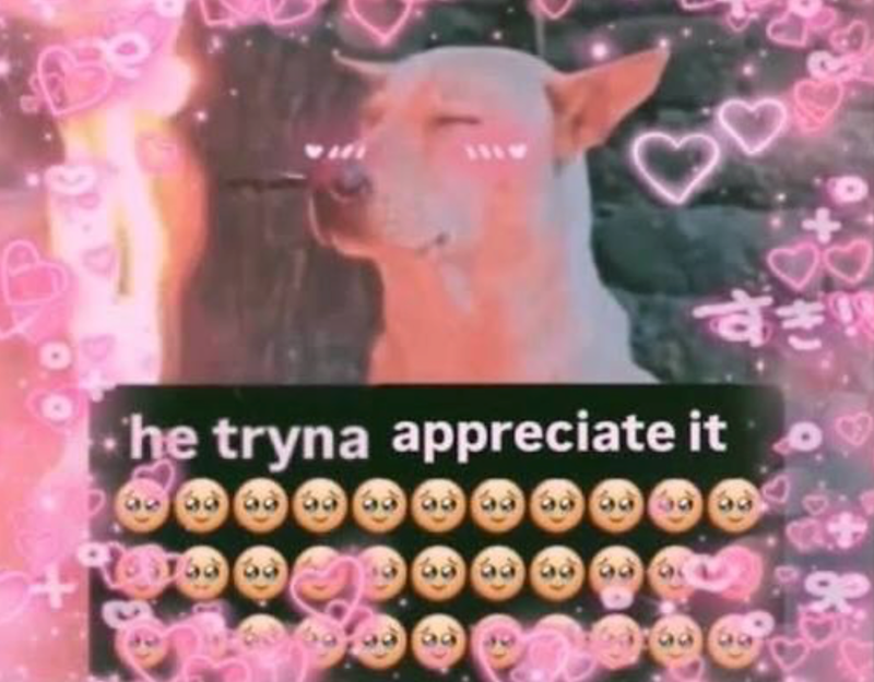すぎ! ⚫he tryna appreciate it