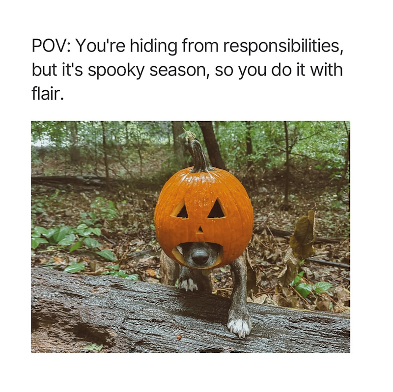 POV: You're hiding from responsibilities, but it's spooky season, so you do it with flair.