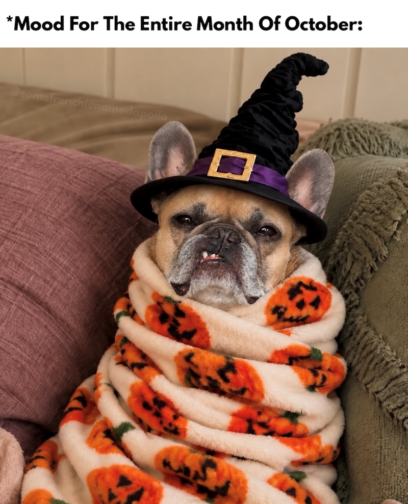 *Mood For The Entire Month Of October: @somefrenchienamedapollo
