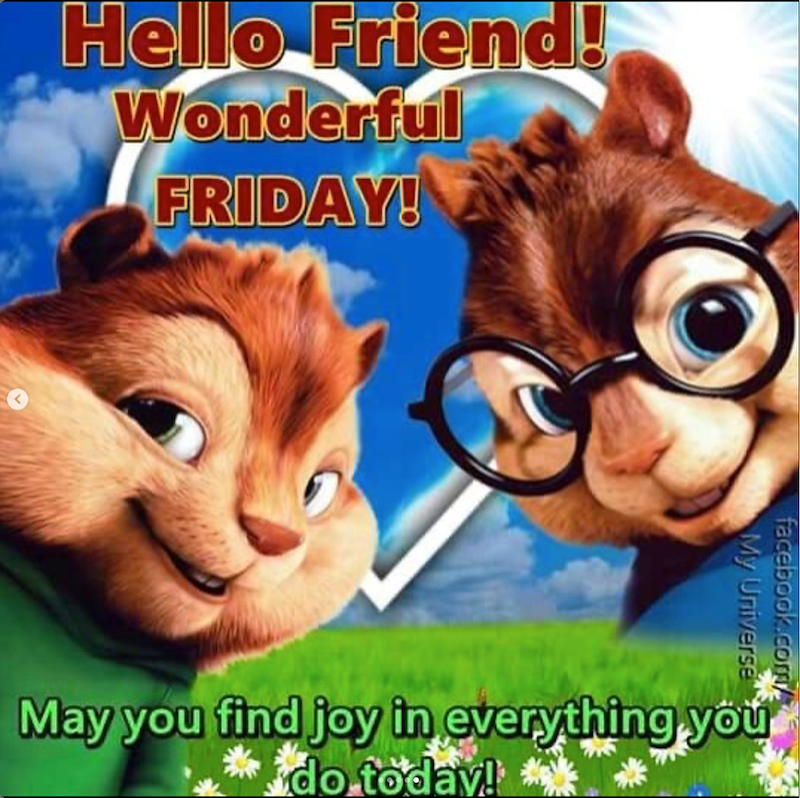 Hello Friend! Wonderful FRIDAY! My Universe facebook.com/ May you find joy in everything you do today!