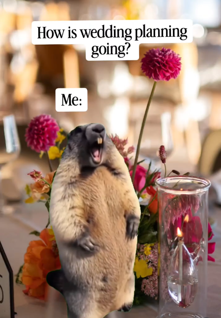 How is wedding planning going? Me: