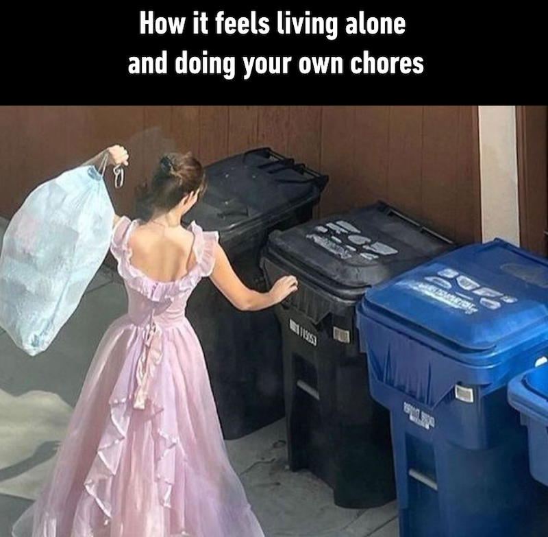 How it feels living alone and doing your own chores 1953