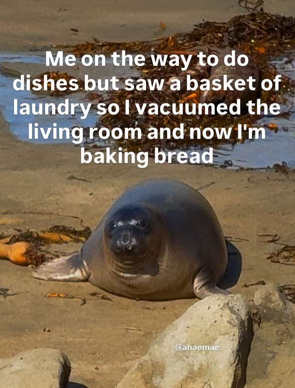 Me on the way to do dishes but saw a basket of laundry so I vacuumed the living room and now I'm baking bread Canaemae