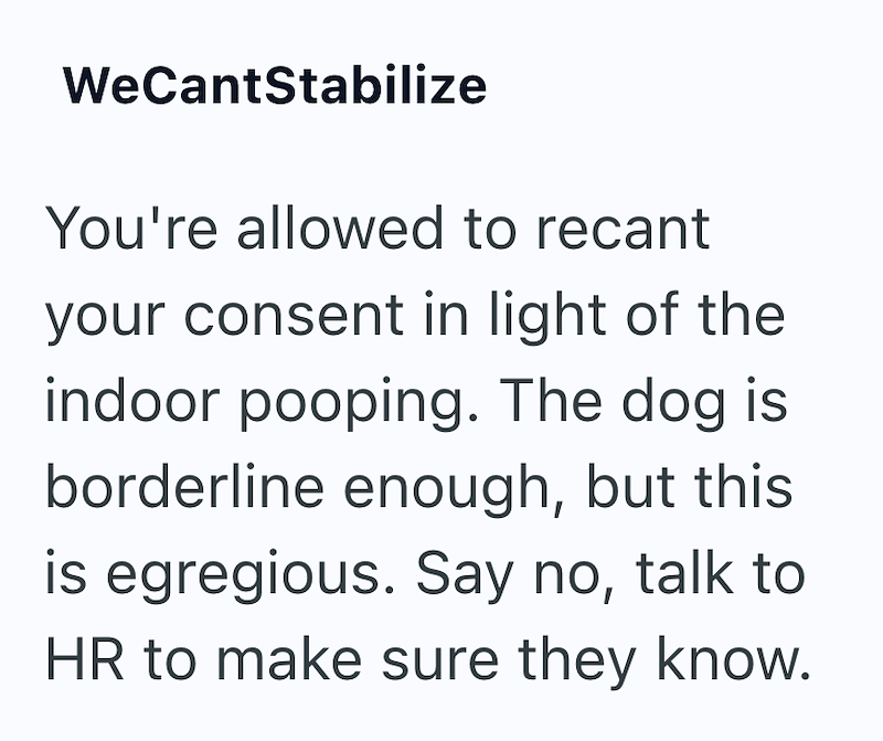 WeCantStabilize You're allowed to recant your consent in light of the indoor pooping. The dog is borderline enough, but this is egregious. Say no, talk to HR to make sure they know.