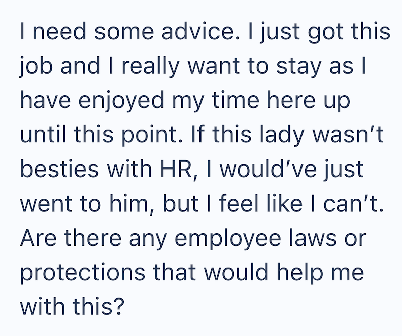 I need some advice. I just got this job and I really want to stay as I have enjoyed my time here up until this point. If this lady wasn't besties with HR, I would've just went to him, but I feel like I can't. Are there any employee laws or protections that would help me with this?