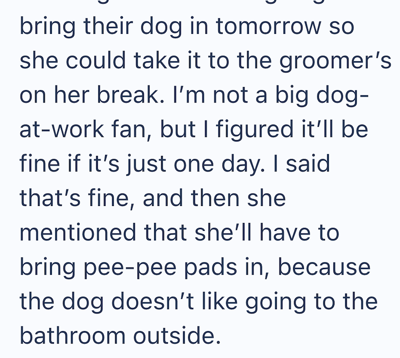 bring their dog in tomorrow so she could take it to the groomer's on her break. I'm not a big dog- at-work fan, but I figured it'll be fine if it's just one day. I said that's fine, and then she mentioned that she'll have to bring pee-pee pads in, because the dog doesn't like going to the bathroom outside.