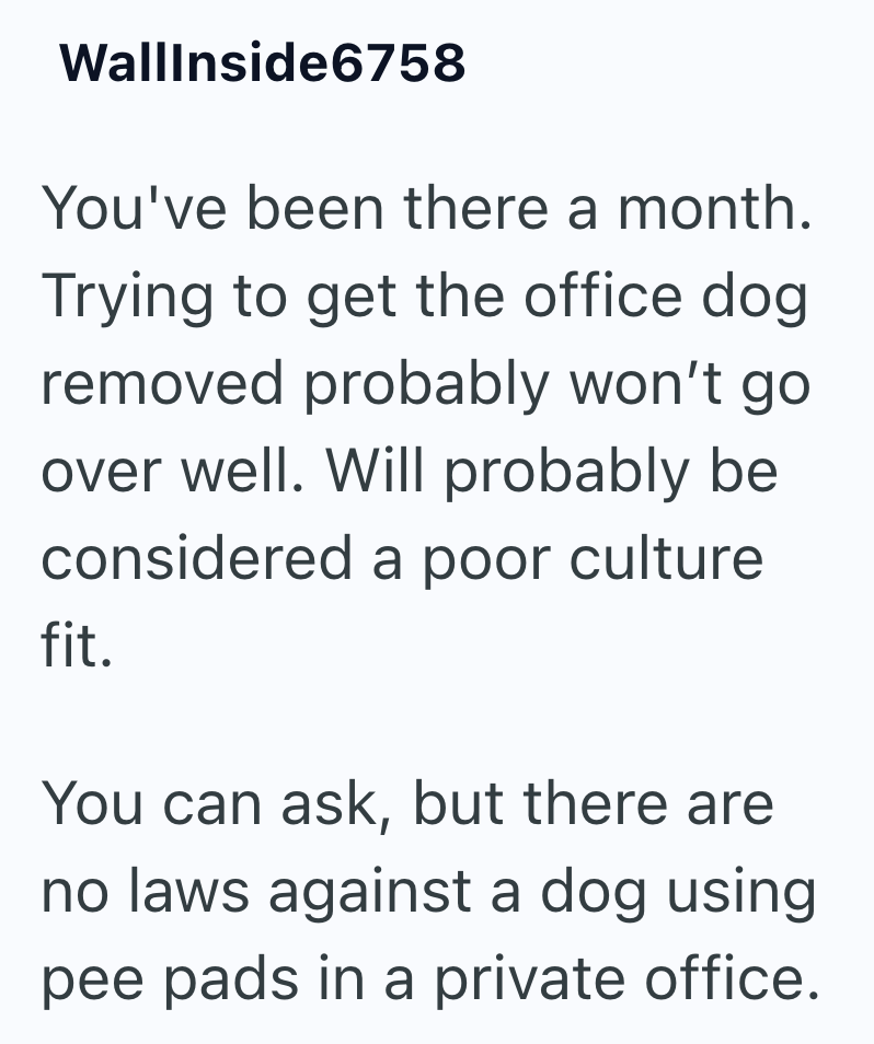 WallInside6758 You've been there a month. Trying to get the office dog. removed probably won't go over well. Will probably be considered a poor culture fit. You can ask, but there are no laws against a dog using pee pads in a private office.