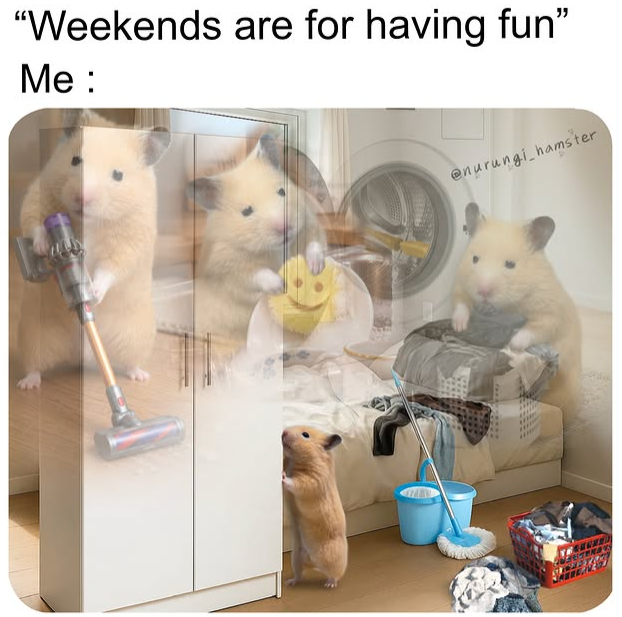 "Weekends are for having fun" Me: @nurungi_hamster