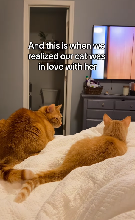 And this is when we realized our cat was in love with her