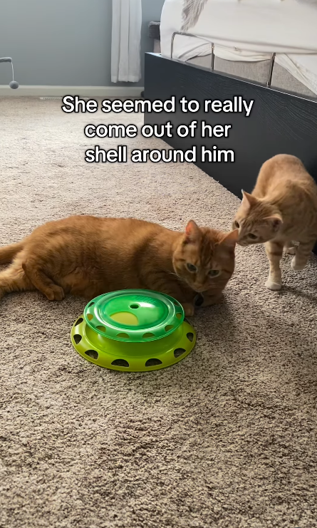 She seemed to really come out of her shell around him