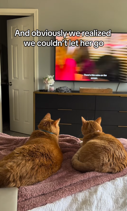 And obviously we realized we couldn't let her go There's this cube on the screen.