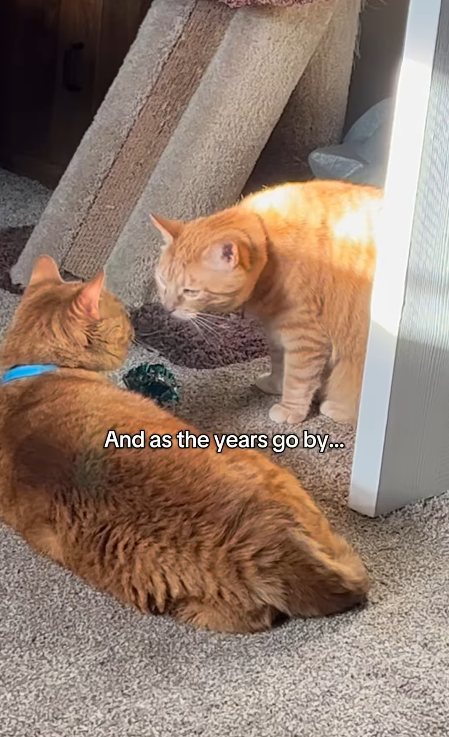 And as the years go by...