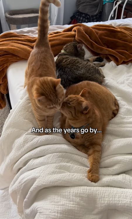 And as the years go by...