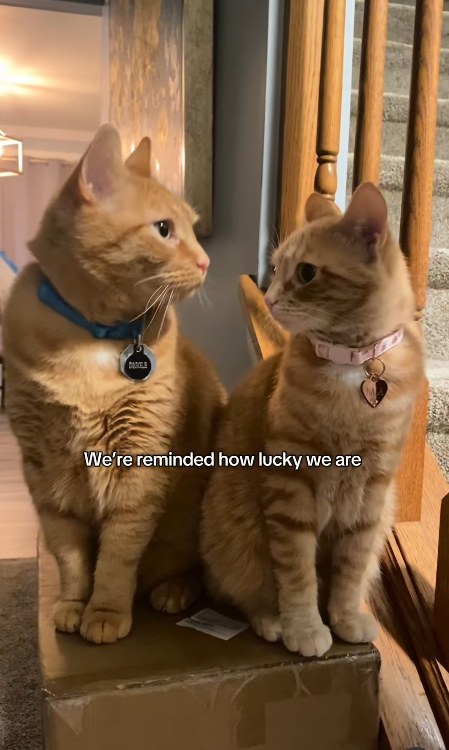 We're reminded how lucky we are