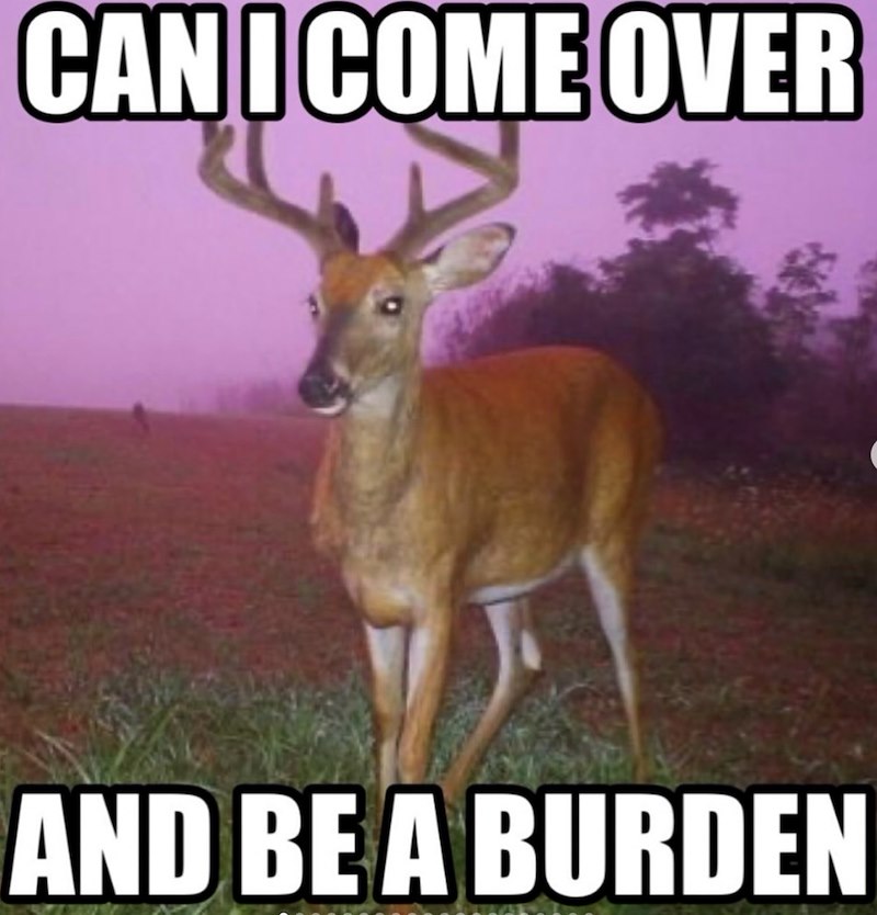 CAN I COME OVER AND BE A BURDEN
