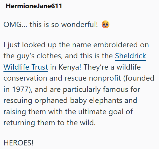 HermioneJane611 OMG... this is so wonderful! I just looked up the name embroidered on the guy's clothes, and this is the Sheldrick Wildlife Trust in Kenya! They're a wildlife conservation and rescue nonprofit (founded in 1977), and are particularly famous for rescuing orphaned baby elephants and raising them with the ultimate goal of returning them to the wild. HEROES!
