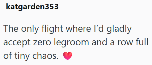 katgarden353 The only flight where I'd gladly accept zero legroom and a row full of tiny chaos.