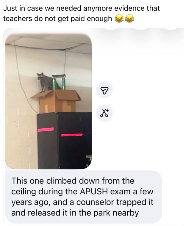 Just in case we needed anymore evidence that teachers do not get paid enough ☑ ☑ This one climbed down from the ceiling during the APUSH exam a few years ago, and a counselor trapped it and released it in the park nearby
