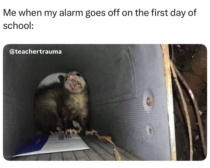 Me when my alarm goes off on the first day of school: @teachertrauma