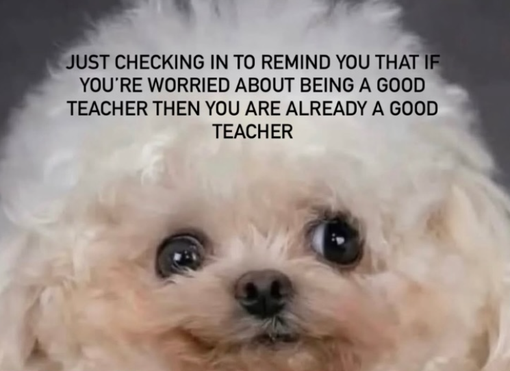 JUST CHECKING IN TO REMIND YOU THAT IF YOU'RE WORRIED ABOUT BEING A GOOD TEACHER THEN YOU ARE ALREADY A GOOD TEACHER