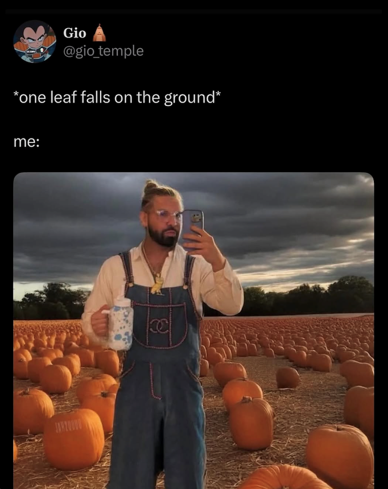 Gio @gio_temple *one leaf falls on the ground* me: JANZUUUU