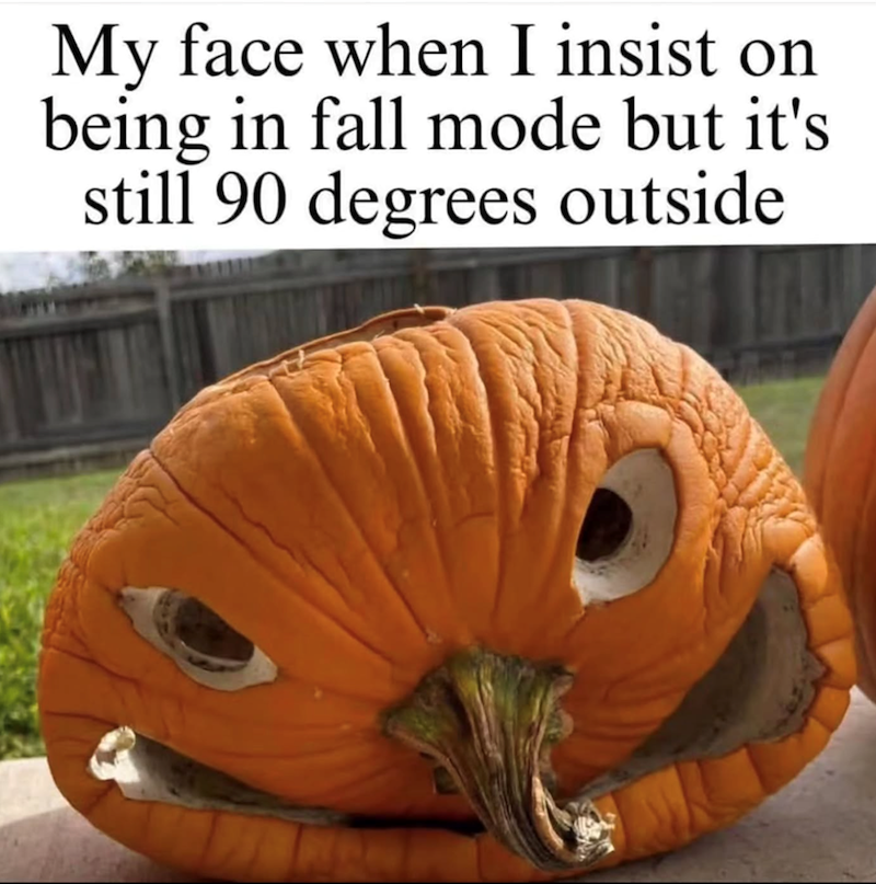 My face when I insist on being in fall mode but it's still 90 degrees outside