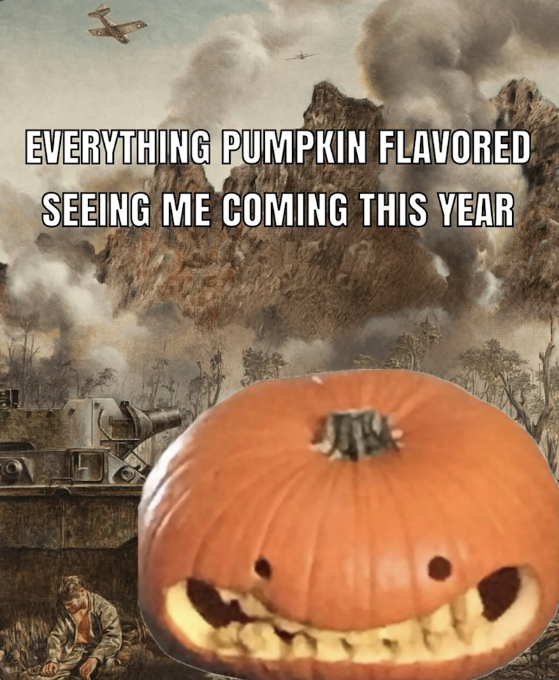 EVERYTHING PUMPKIN FLAVORED SEEING ME COMING THIS YEAR