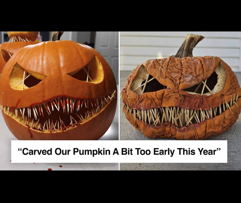 "Carved Our Pumpkin A Bit Too Early This Year"