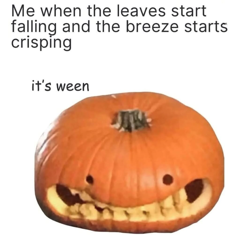 Me when the leaves start falling and the breeze starts crisping it's ween