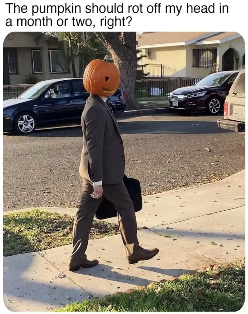 The pumpkin should rot off my head in a month or two, right?