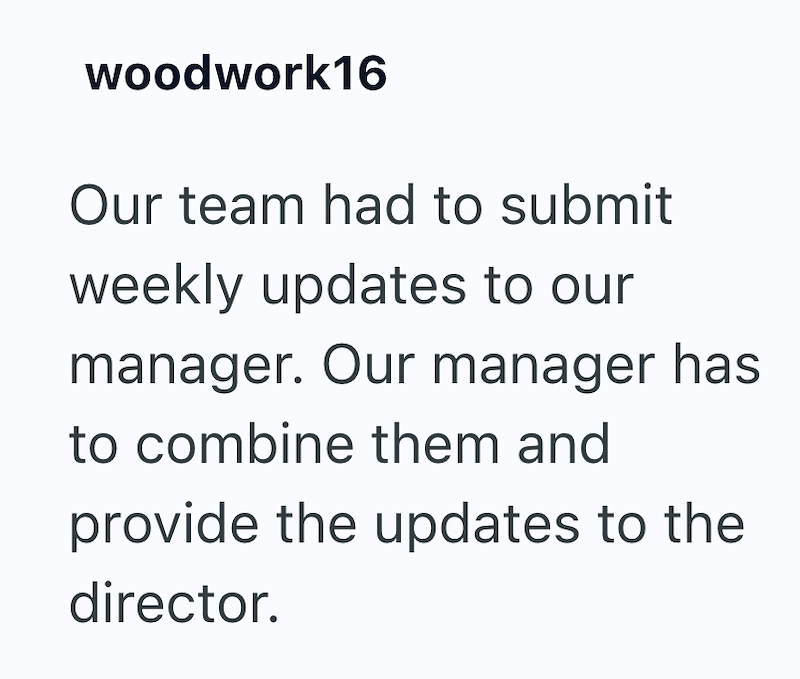 woodwork16 Our team had to submit weekly updates to our manager. Our manager has to combine them and provide the updates to the director.