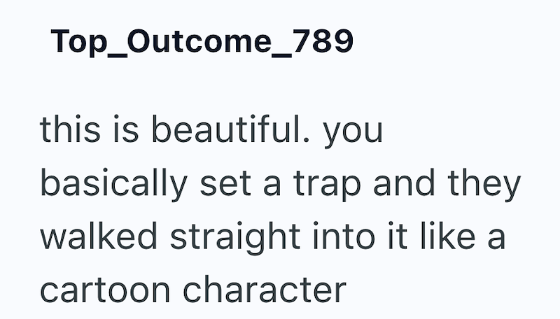 Top_Outcome_789 this is beautiful. you basically set a trap and they walked straight into it like a cartoon character