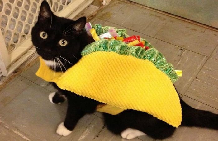 Cheezburger Image 10673999872