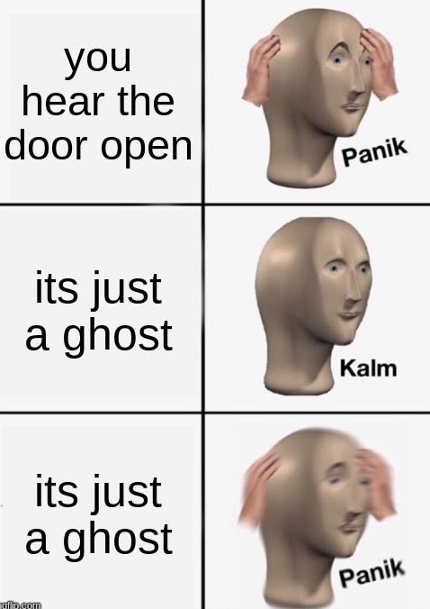 you hear the door open its just a ghost Panik Kalm its just a ghost aflip.com Panik