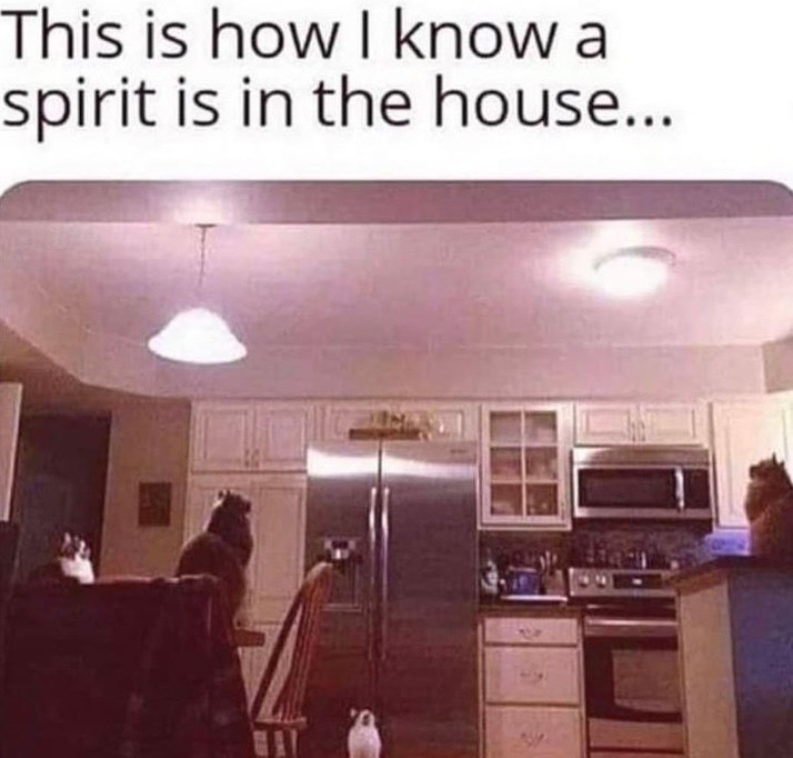 This is how I know a spirit is in the house...