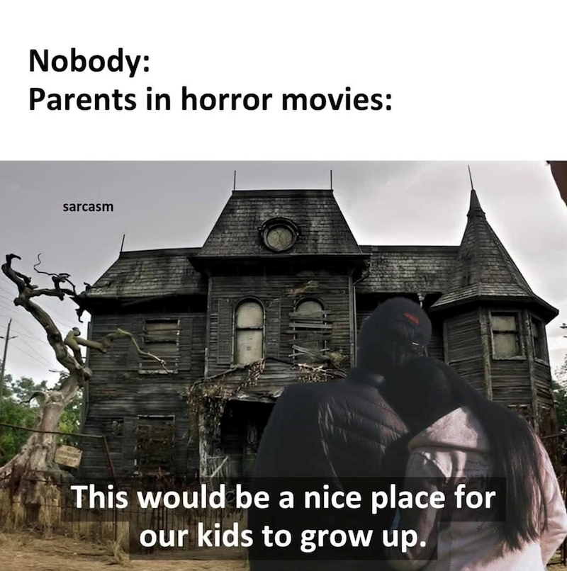 Nobody: Parents in horror movies: sarcasm This would be a nice place for our kids to grow up.