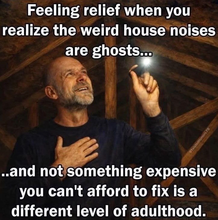 Feeling relief when you realize the weird house noises are ghosts... TwistedHumors.FB ..and not something expensive you can't afford to fix is a different level of adulthood.