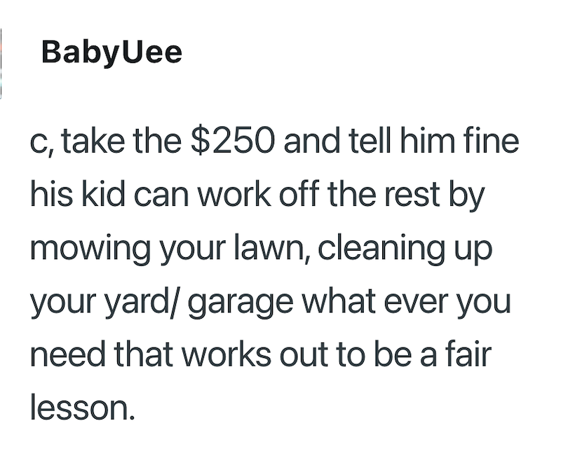 BabyUee c, take the $250 and tell him fine his kid can work off the rest by mowing your lawn, cleaning up your yard/garage what ever you need that works out to be a fair lesson.