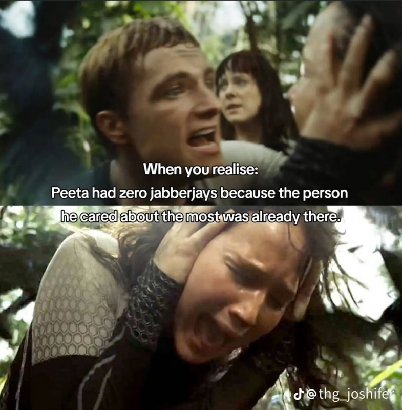 When you realise: Peeta had zero jabberjays because the person he cared about the most was already there. @thg_joshifer